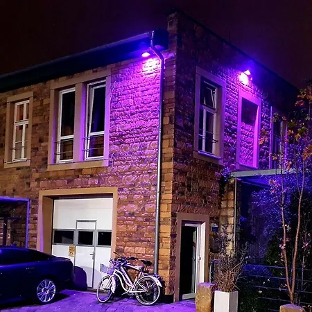 Papageiennest * Drezda