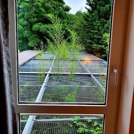 Papageiennest Apartament *