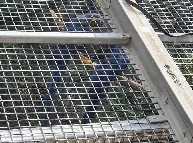 아파트 Papageiennest